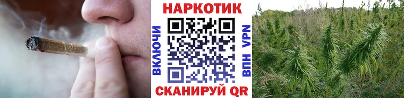 Купить наркотики цена Венёв А ПВП МЕФ АМФ Галлюциногенные грибы Марихуана